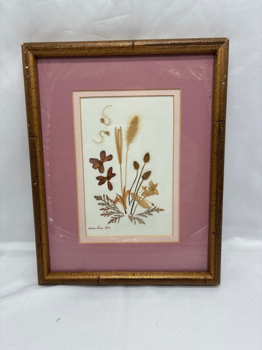 Olwen Price Bermuda Pressed Flower Botanical Art Signed 1983 Framed Vintage